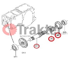 ALBERO 2 CON INGRANAGGIO 13-17 DENTI SET 66416-14210 OEM 66416-14260 OEM 66416-14270 OEM
