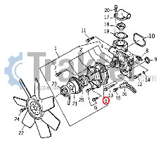 WASSERPUMPE DICHTUNG 6213-613-001-00 OEM
