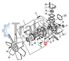 WASSERPUMPE DICHTUNG 6213-613-001-00 OEM
