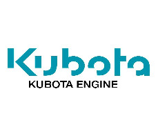 D1462 KUBOTA USED ENGINE