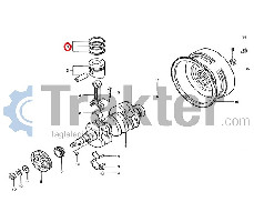 ΕΛΑΤΗΡΙΑ ΠΙΣΤΟΝΙΟΥ STD 5650-043-183-60 OEM