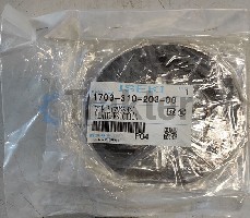 DISCHI FRENO ORIGINAL ISEKI 1703-310-203-00