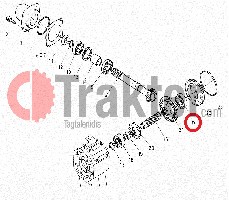 CUSCINETTO ZAPPATRICE MOTO DI MEZZO ALBERO LATO SUPERIORE