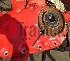 ZAPPATRICE GUARNIZIONE PORTALAME ASSE LATO CATENA