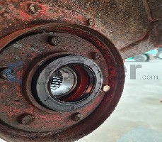 ZAPPATRICE GUARNIZIONE CATENA LATERALE