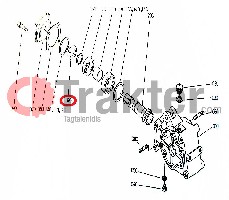 ZAPPATRICE GUARNIZIONE PTO