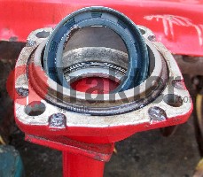 ZAPPATRICE GUARNIZIONE PTO