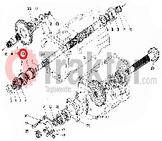INGRANAGGIO ALBERO ELICA 17-44 DENTI 37150-21571 OEM