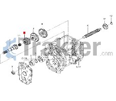 INGRANAGGIO SCATOLA CAMBIO 19-25 1o ALBERO CAMBIO ORIGINAL ISEKI 1776-202-003-00