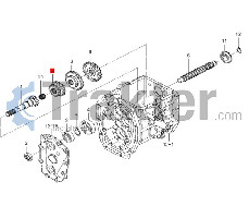 ZAHNRAD GETRIEBE 1 GETRIEBEWELLE 19-25 ZÄHNE ORIGINAL ISEKI 1776-202-003-00