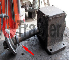 SCAVAPATATE GUARNIZIONE ALBERO LATERALE INGRANAGGIO