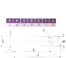 PIN TOP LINK 19 X 111