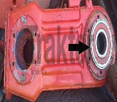 CUSCINETTO ZAPPATRICE CATENA INFERIORE