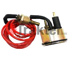 INDICATORE TEMPERATURA