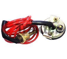 INDICATORE TEMPERATURA