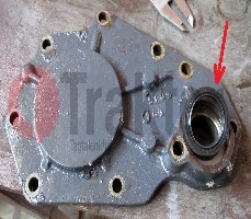 GUARNIZIONE ALBERO FRENO COPERCHIO SCATOLA ASSIALE