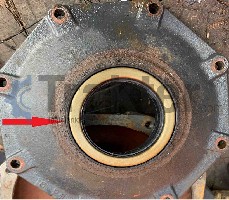 GUARNIZIONE RUOTA ANTERIORE