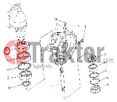 WELLENDICHTRING GELENKWELLE DIFFERENTIAL VORN TnT