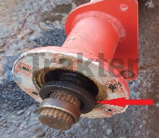 GUARNIZIONE ALBERO SUPERIORE CATENA