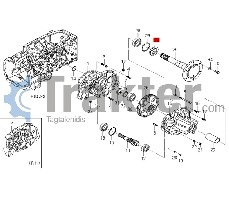 GUARNIZIONE RUOTA POSTERIORE ORIGINAL ISEKI 1650-306-200-00