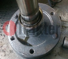 GUARNIZIONE RUOTA POSTERIORE