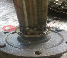 GUARNIZIONE RUOTA POSTERIORE