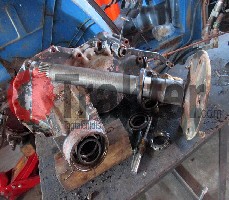 GUARNIZIONE RUOTA POSTERIORE