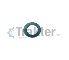 GUARNIZIONE RUOTA POSTERIORE