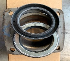 GUARNIZIONE RUOTA POSTERIORE