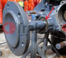 GUARNIZIONE RUOTA POSTERIORE TnT