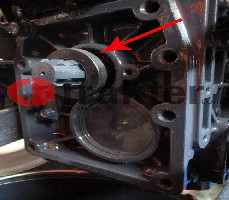 SELLO PTO 1614-244-005-00 OEM