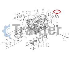 PERNO DI BIELLA DELL